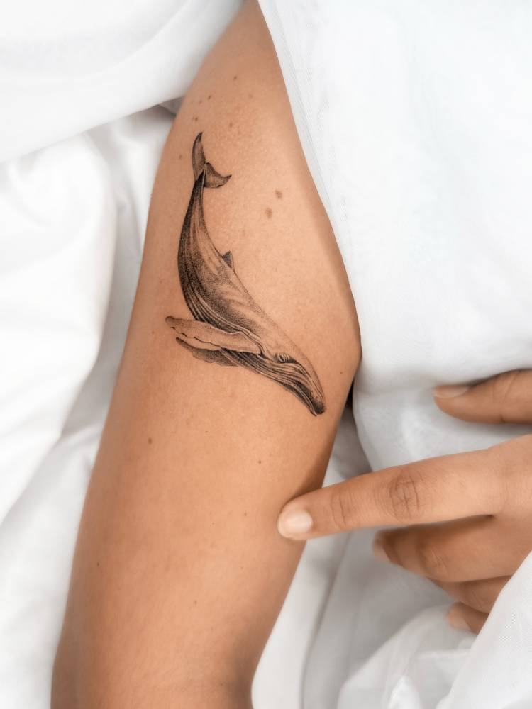 Whale tattoo located on the upper arm, done in micro-realistic style.
