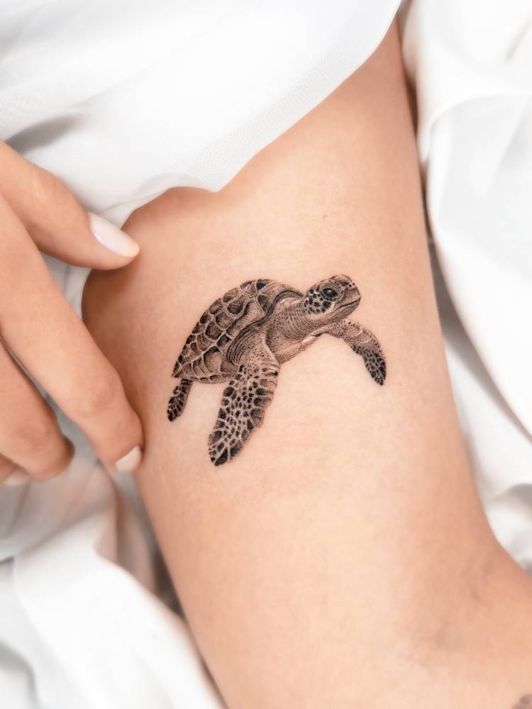 Turtle tattoo in micro-realistic style done on the inner arm.