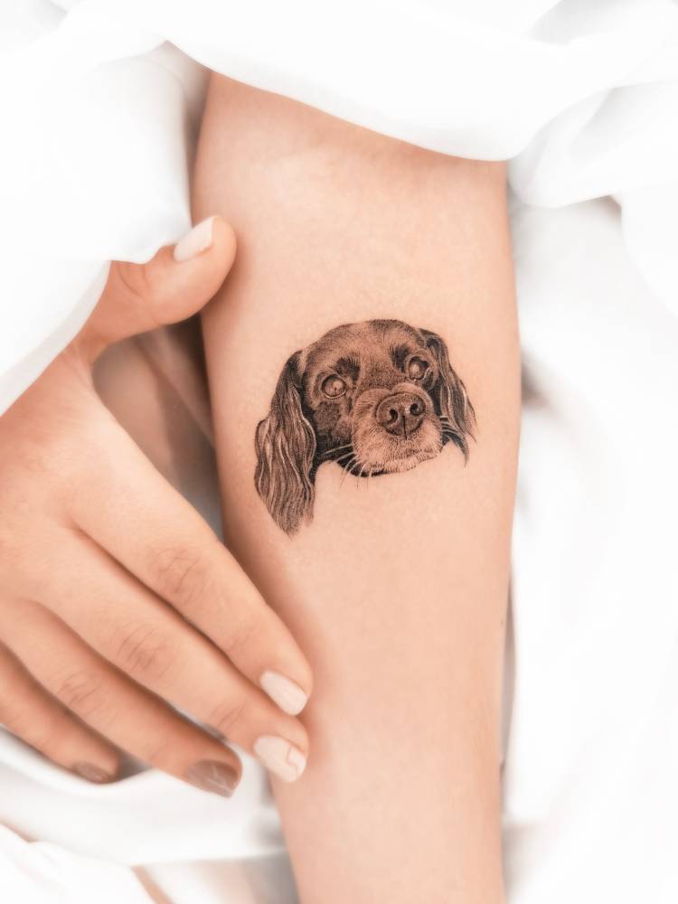 Cocker Spaniel portrait tattoo in micro-realistic style.