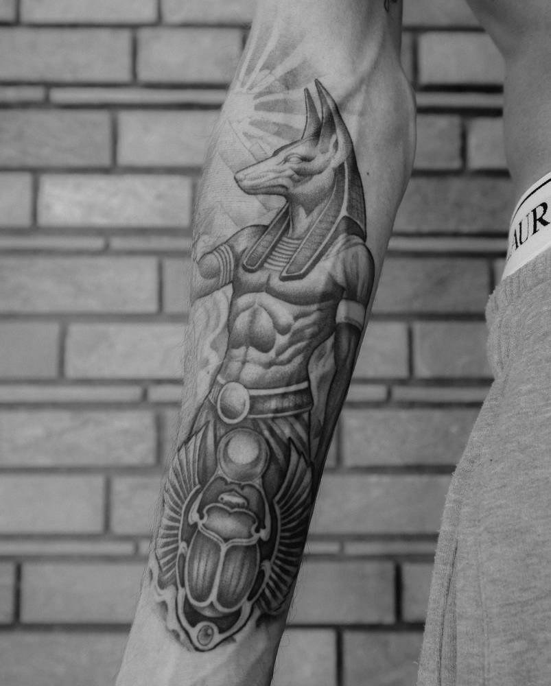 Anubis tattoo in illustrative style located on the inner forearm.