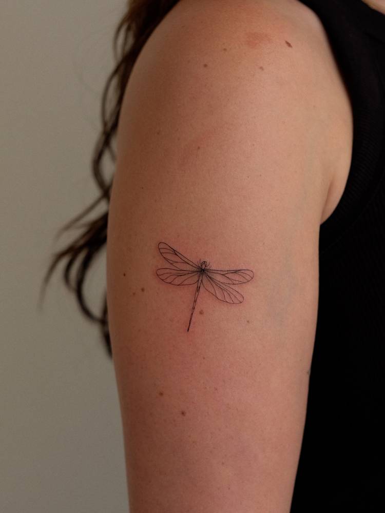 Little dragonfly tattoo in fine line style placed on the upper arm.