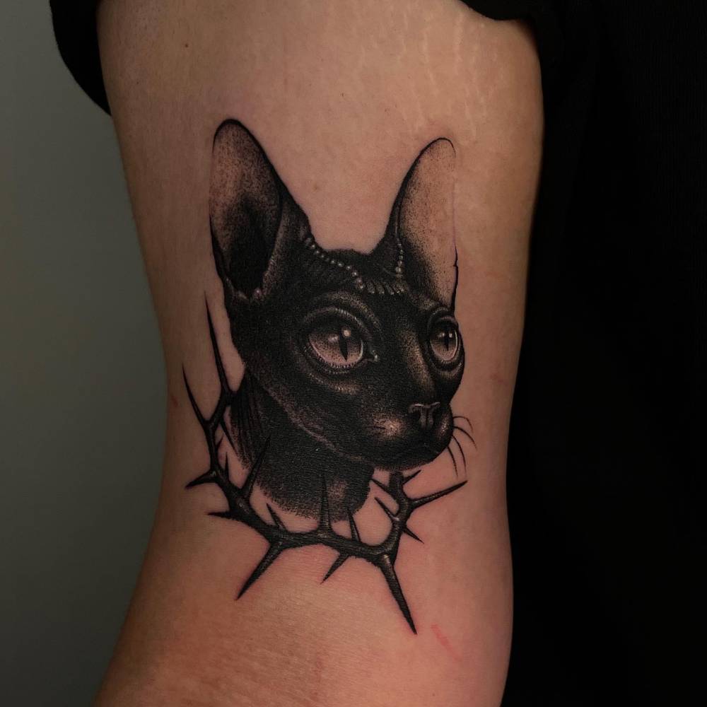 Sphynx cat portrait tattooed on the bicep, done in blackwork style.