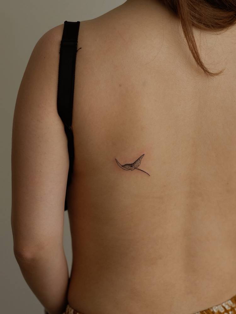Illustrative style spotted eagle ray tattoo located on the back.