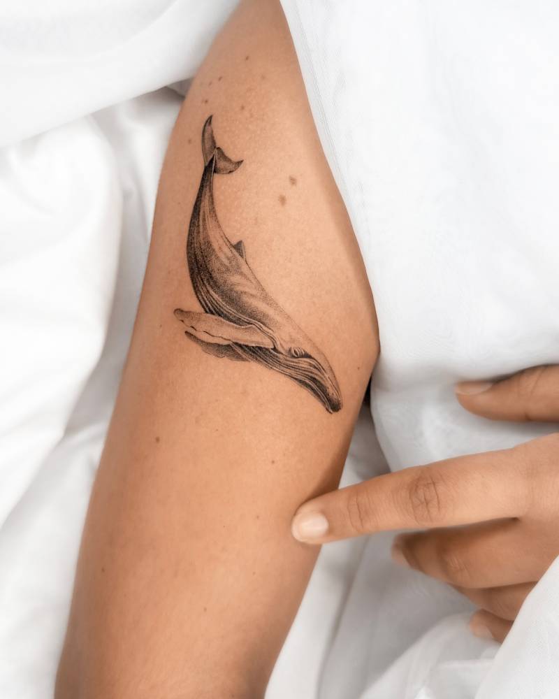 Whale tattoo in micro-realistic style located on the upper arm.