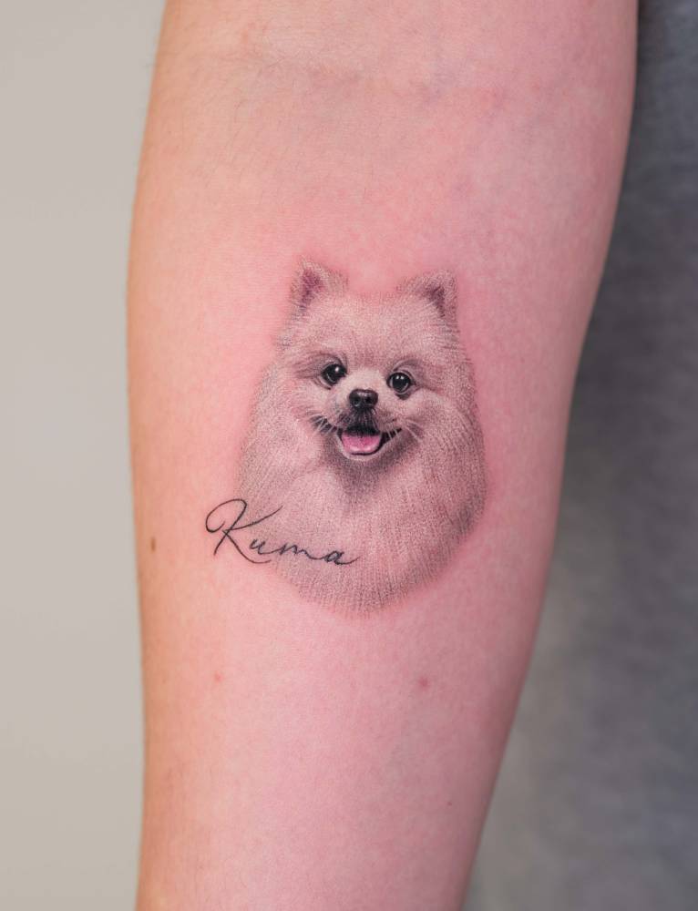 Micro-realistic style Pomeranian portrait tattoo located on the inner forearm.
