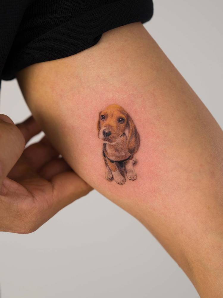 Micro-realistic style Beagle tattoo located on the inner arm.