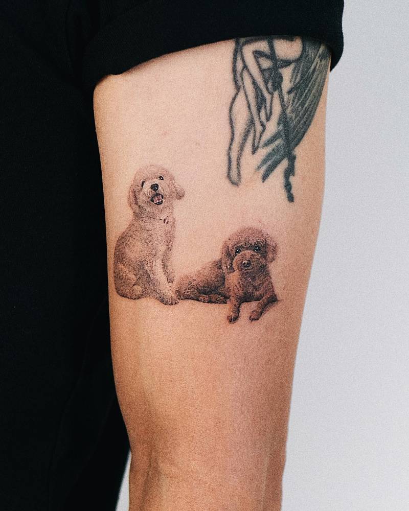 Micro-realistic style Poodles tattoo located on the upper arm.