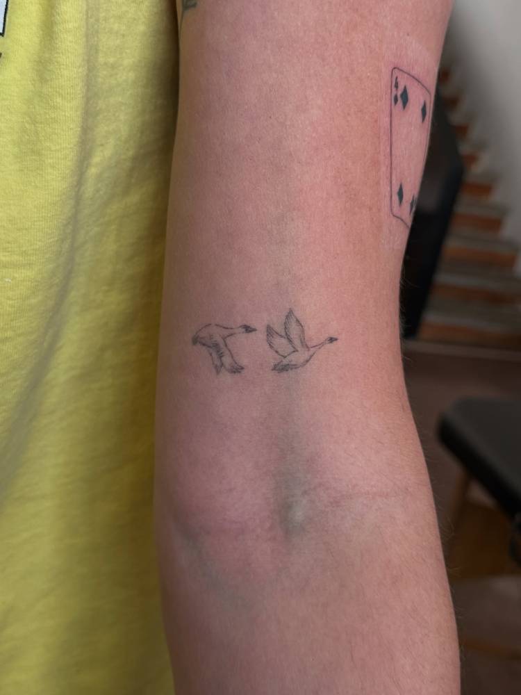 Geese tattoo in illustrative style located on the bicep.