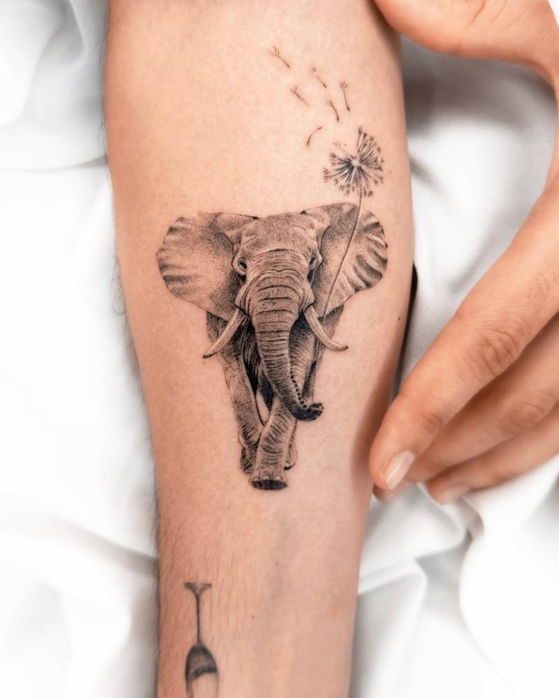 Elephant and dandelion in micro-realistic style tattooed on the inner forearm.