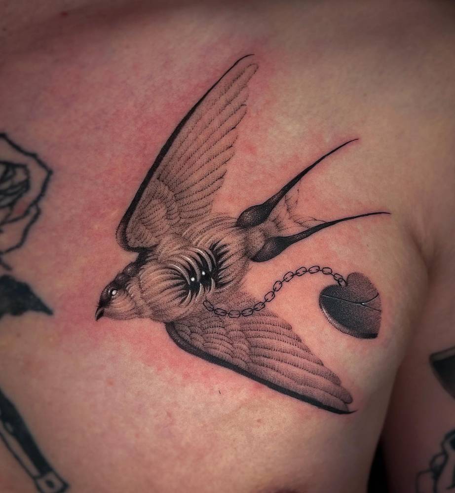 Love delivery swallow.