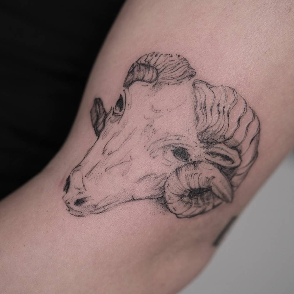 Ram portrait tattoo in sketch work style located on the upper arm.