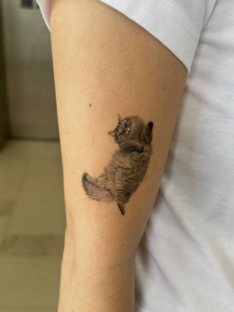 Micro-realistic style cat tattoo placed on the upper arm (healed).