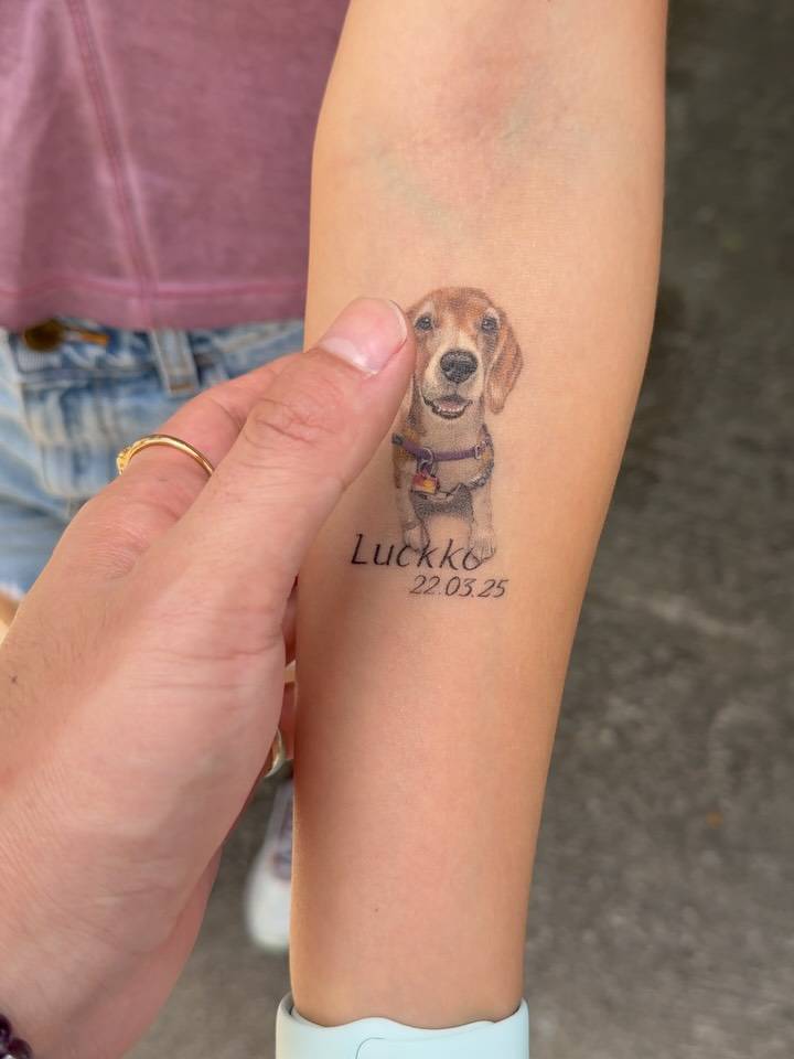 Healed memorial Beagle tattoo located on the inner forearm.