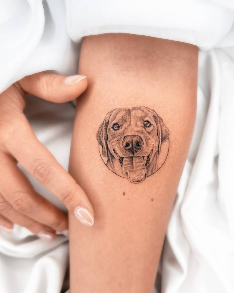 Micro-realistic style Golden Retriever portrait tattoo placed on the inner forearm.