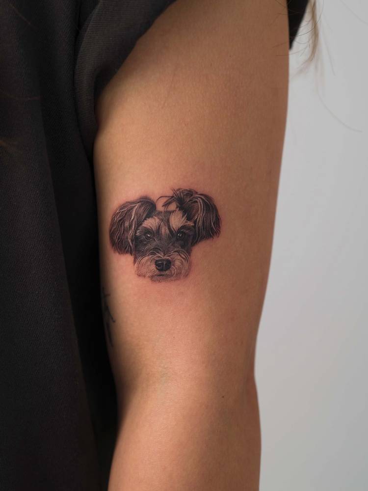 Micro-realistic style Schnauzer portrait tattoo placed on the upper arm.
