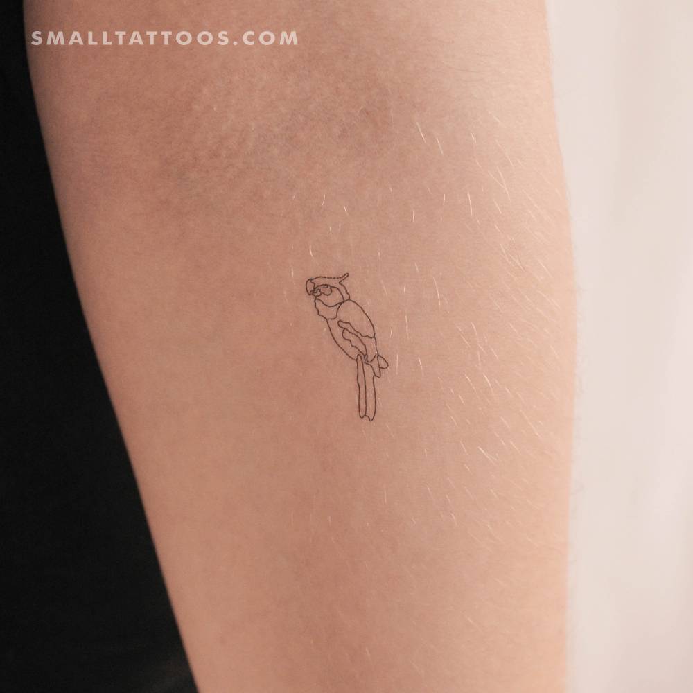 Fine line style parrot temporary tattoo done on the inner forearm.