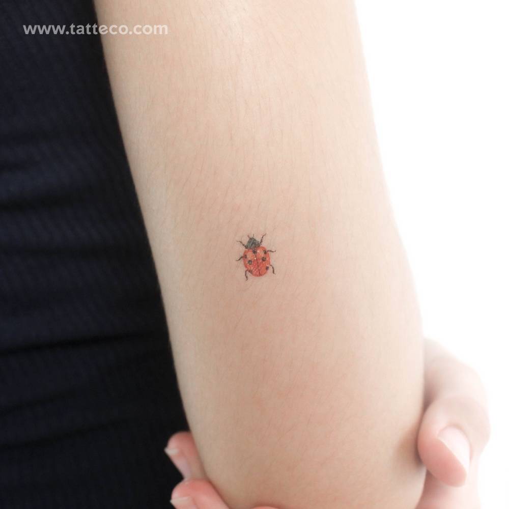 Ladybug temporary tattoo in illustrative style located on the tricep.