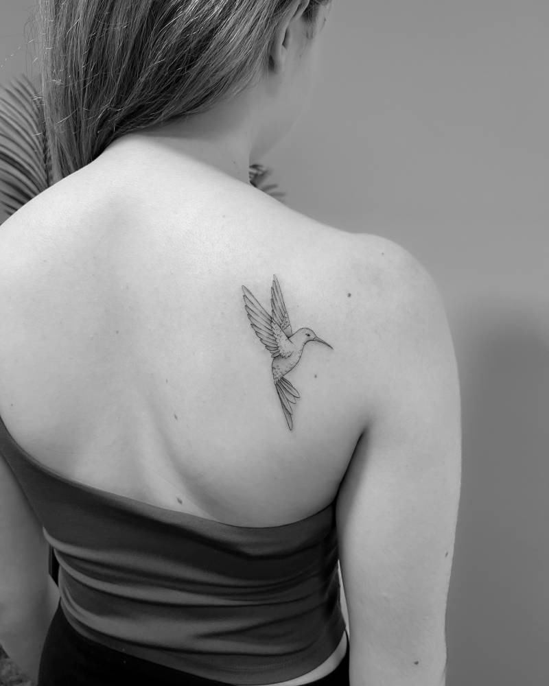 Hummingbird tattoo in illustrative style located on the shoulder blade.