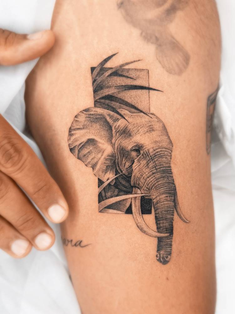 Elephant portrait tattoo in micro-realistic style done on the upper arm.
