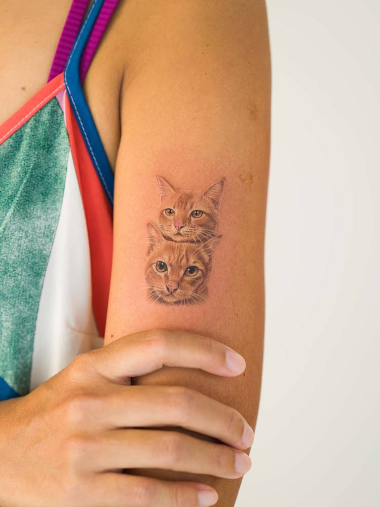 Micro-realistic style cat portraits tattooed on the upper arm.