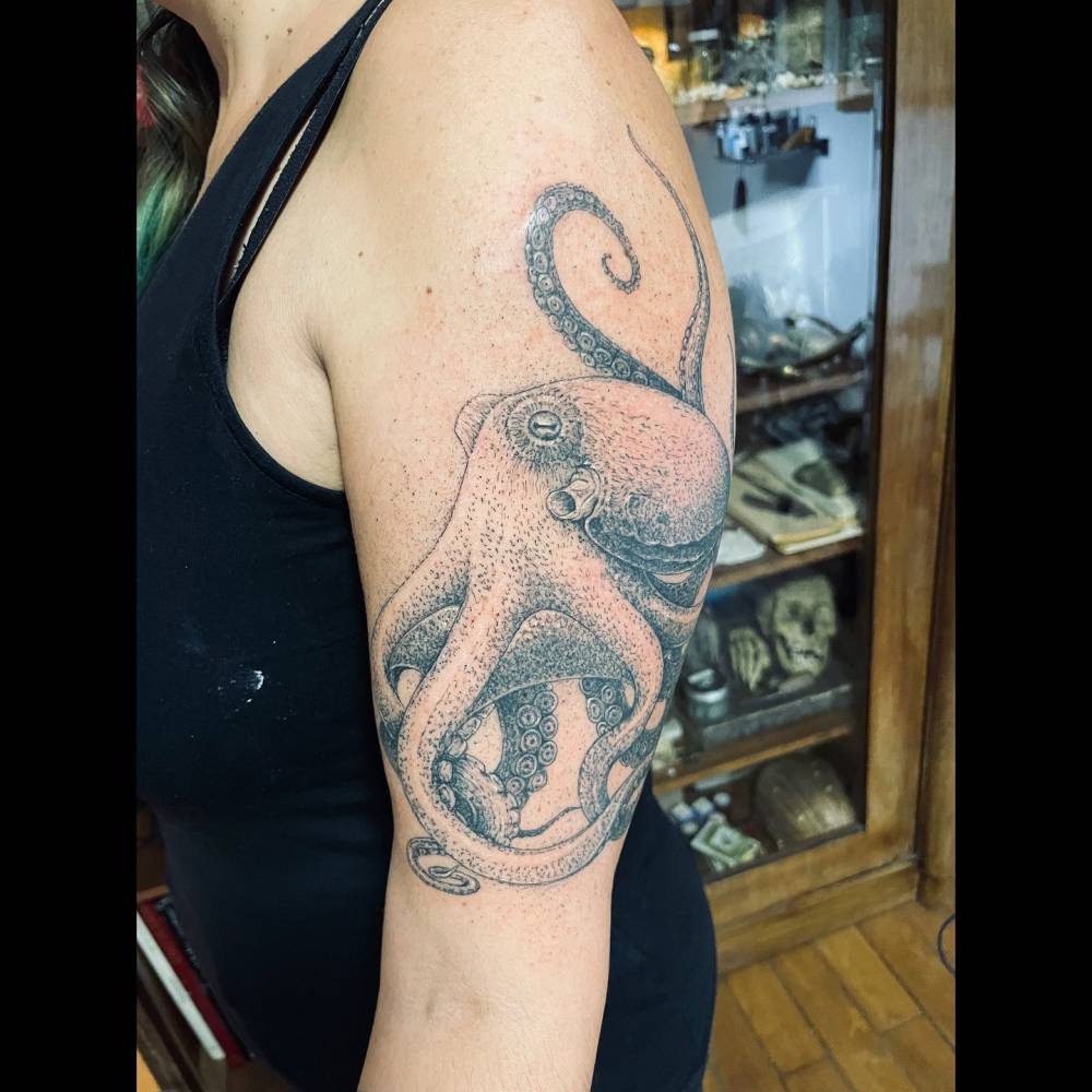 Illustrative style octopus tattoo located on the upper arm.