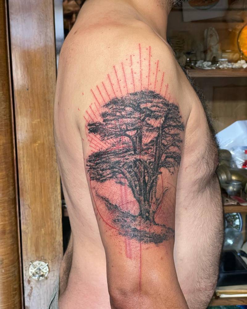 Graphic style cedar tree tattoo located on the upper arm.