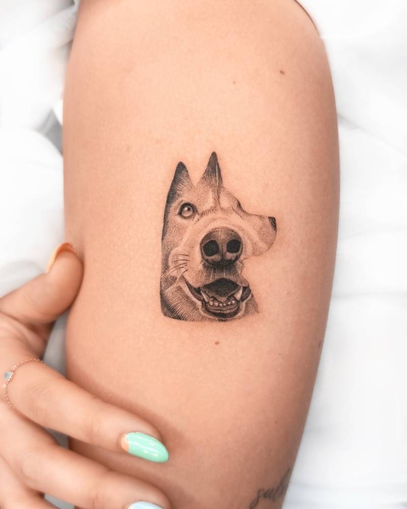 Micro-realistic style Husky portrait tattoo located on the upper arm.