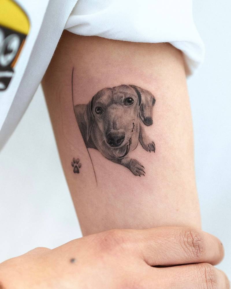 Dachshund portrait tattoo in micro-realistic style located on the inner arm.