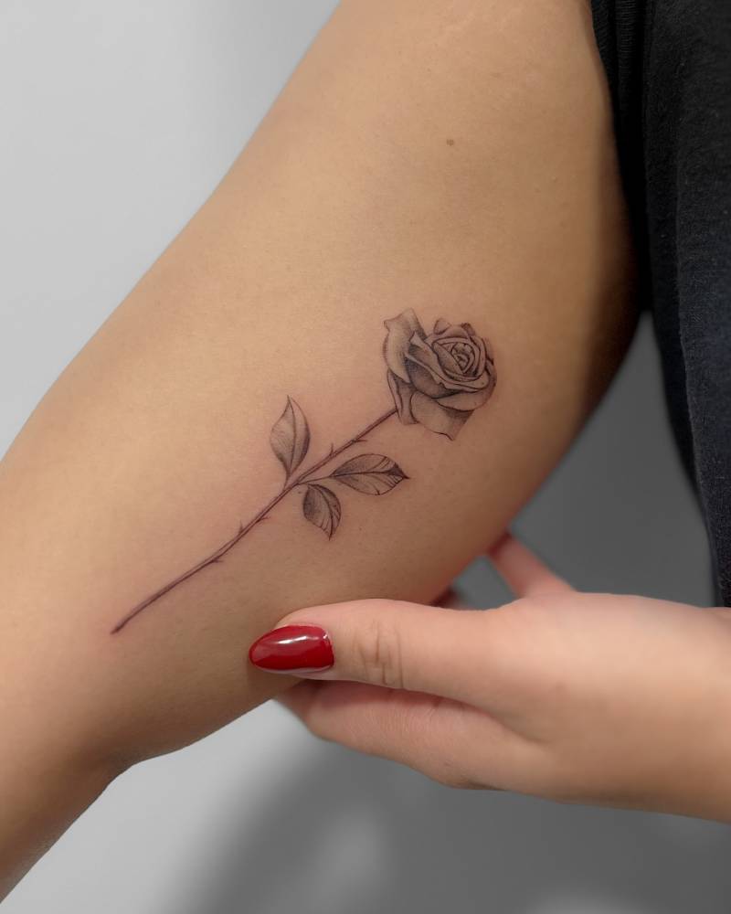 Rose tattoo in illustrative style located on the inner forearm.