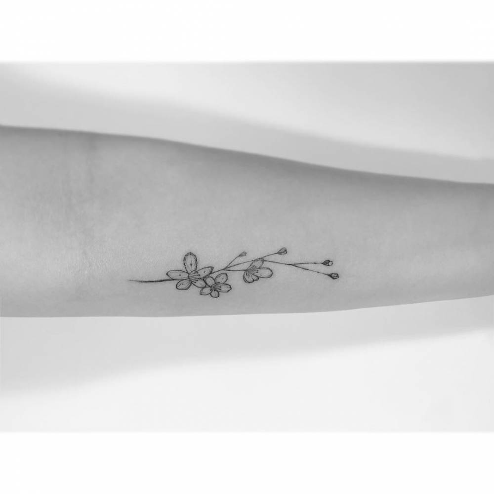 Fine line style cherry blossom tattoo placed on the inner forearm.