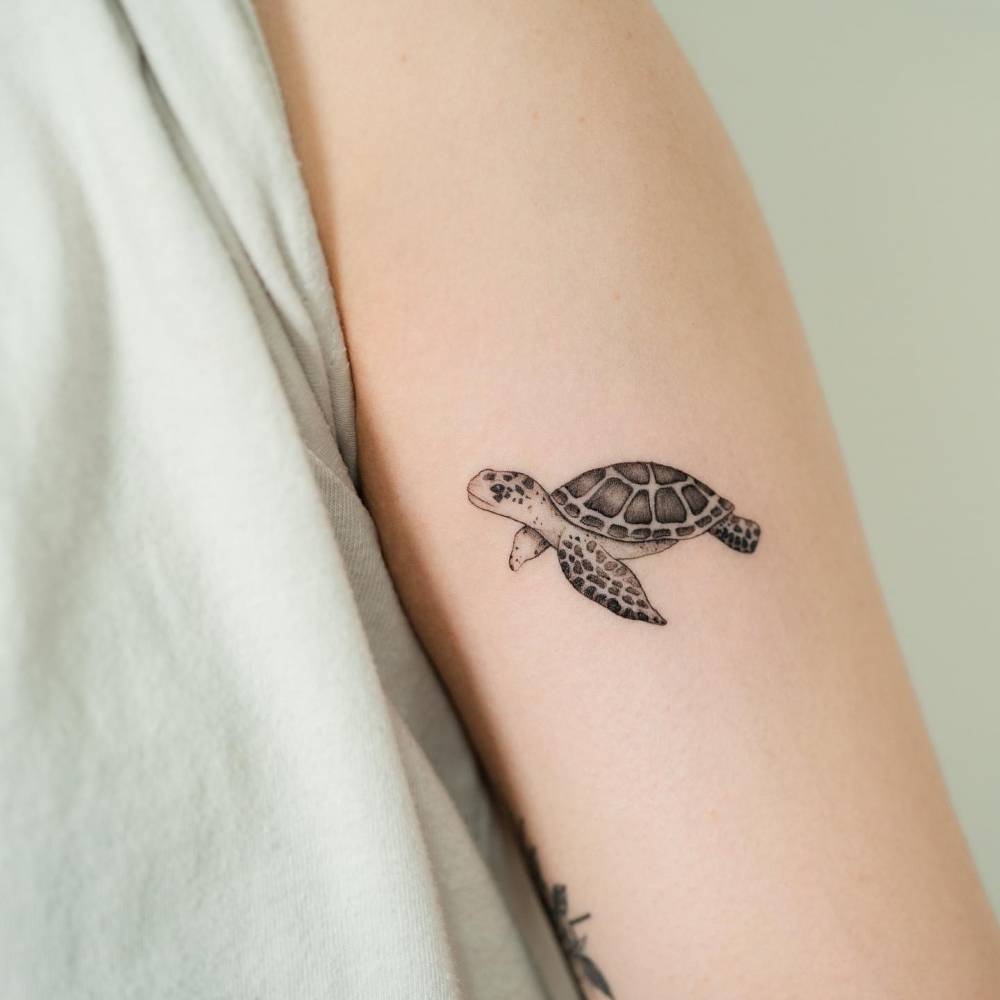 Little turtle tattoo located on the tricep.