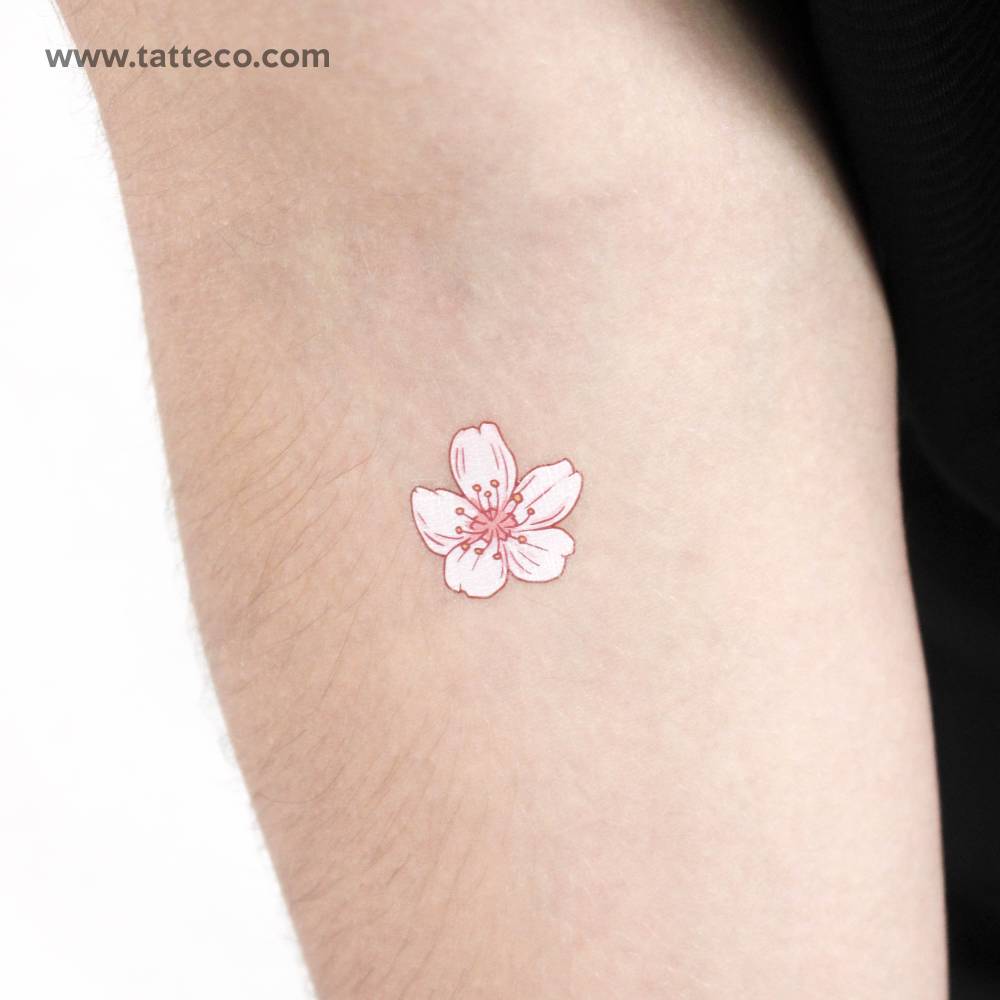 Illustrative style cherry blossom temporary tattoo located on the inner forearm.