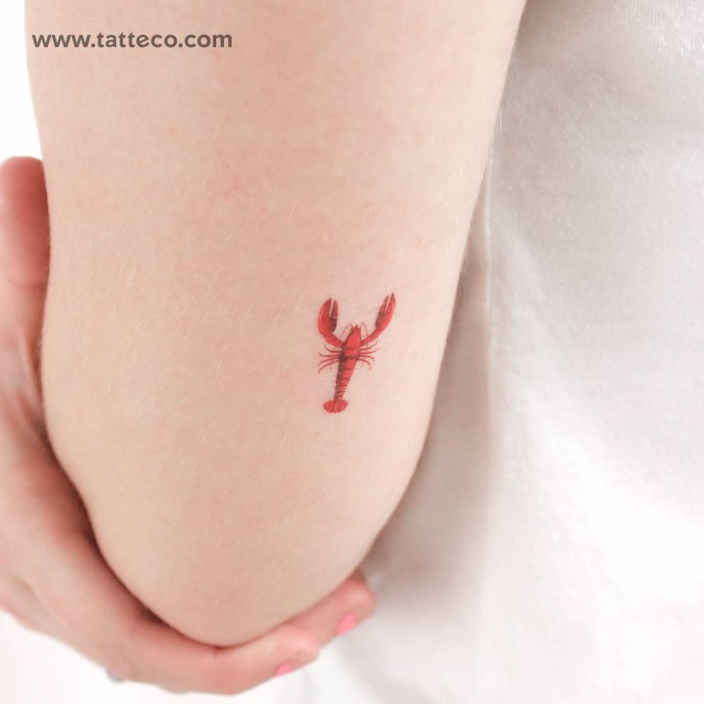 Illustrative style red lobster temporary tattoo located on the tricep.