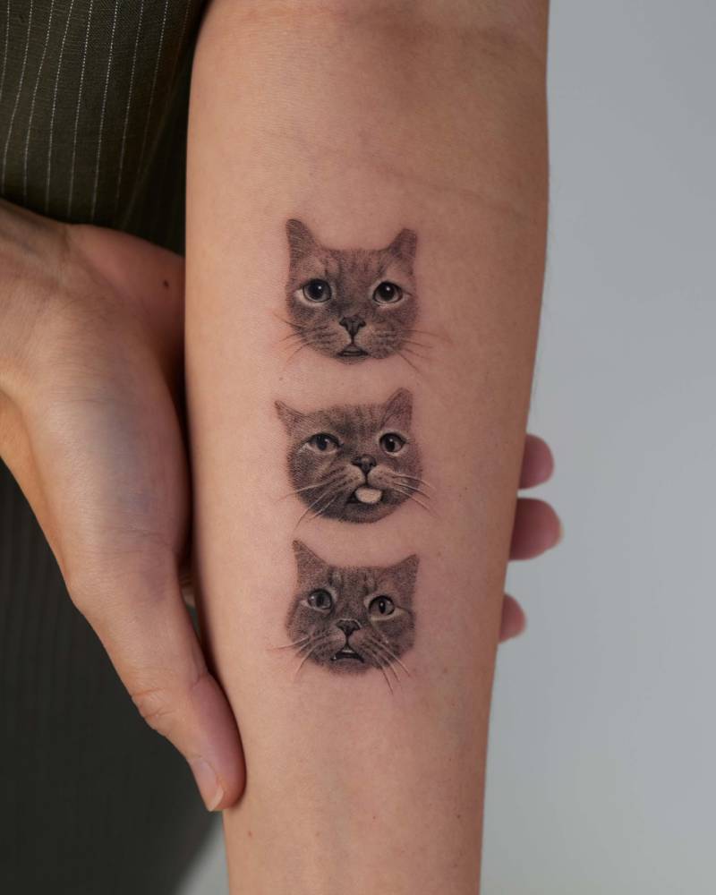 Three cats portrait tattoo located on the inner forearm, micro-realistic style.