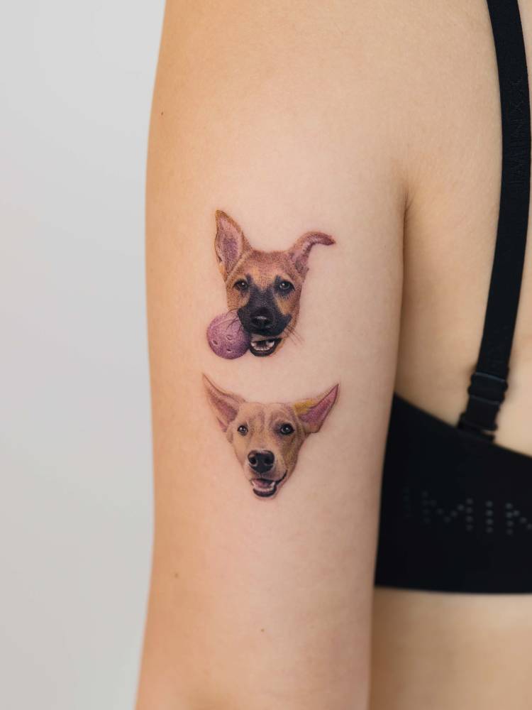 Dogs portrait tattoo located on the tricep, micro-realistic style.