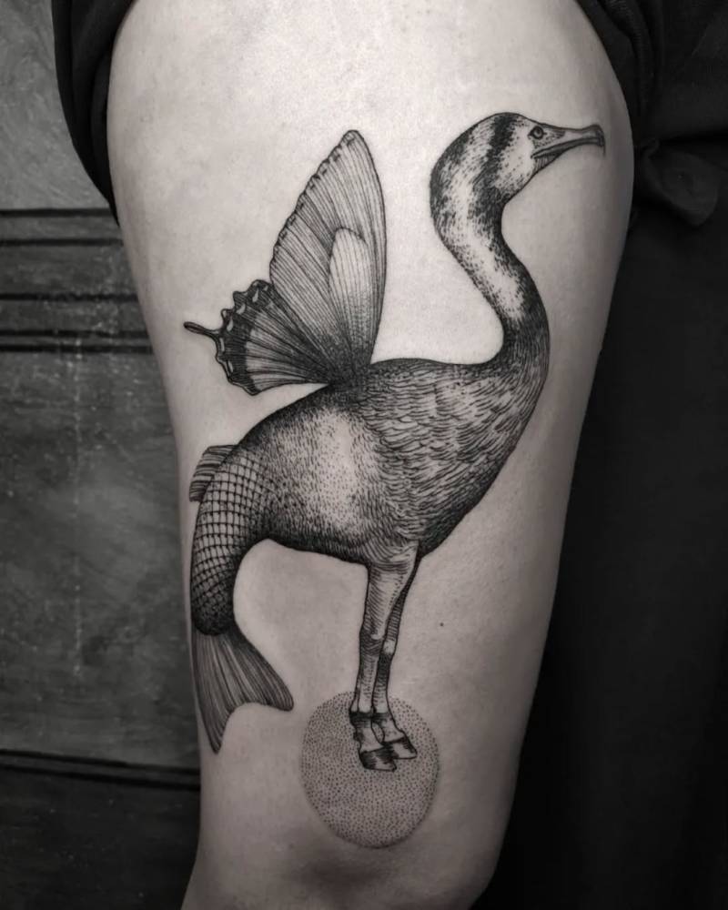 Transhumance - (the new nature's rules).