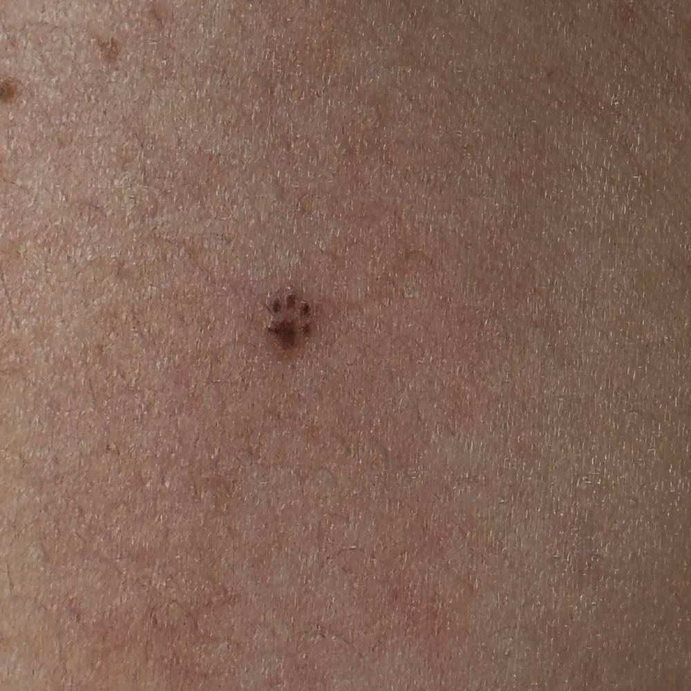 Tiny paw freckle tattoo located on the upper arm.