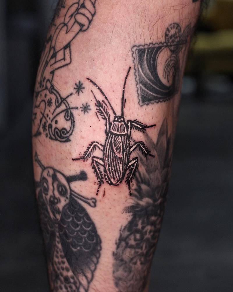 Cockroach tattoo in engraving style located on the calf.