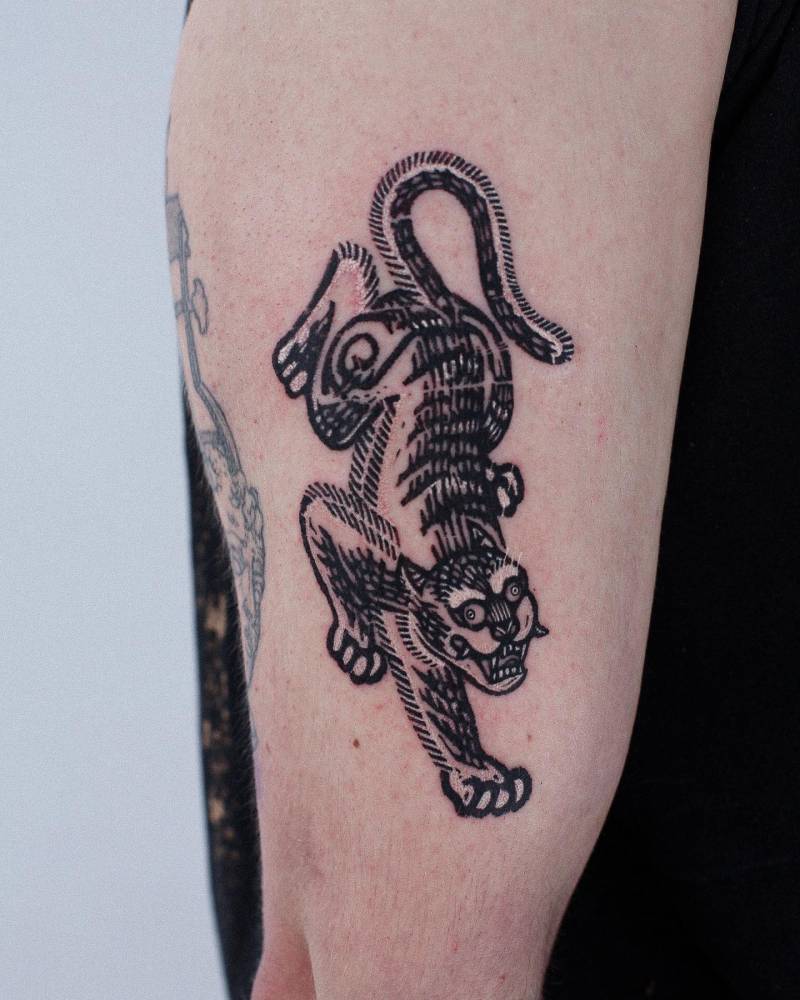 Tiger tattoo in engraving style located on the upper arm.