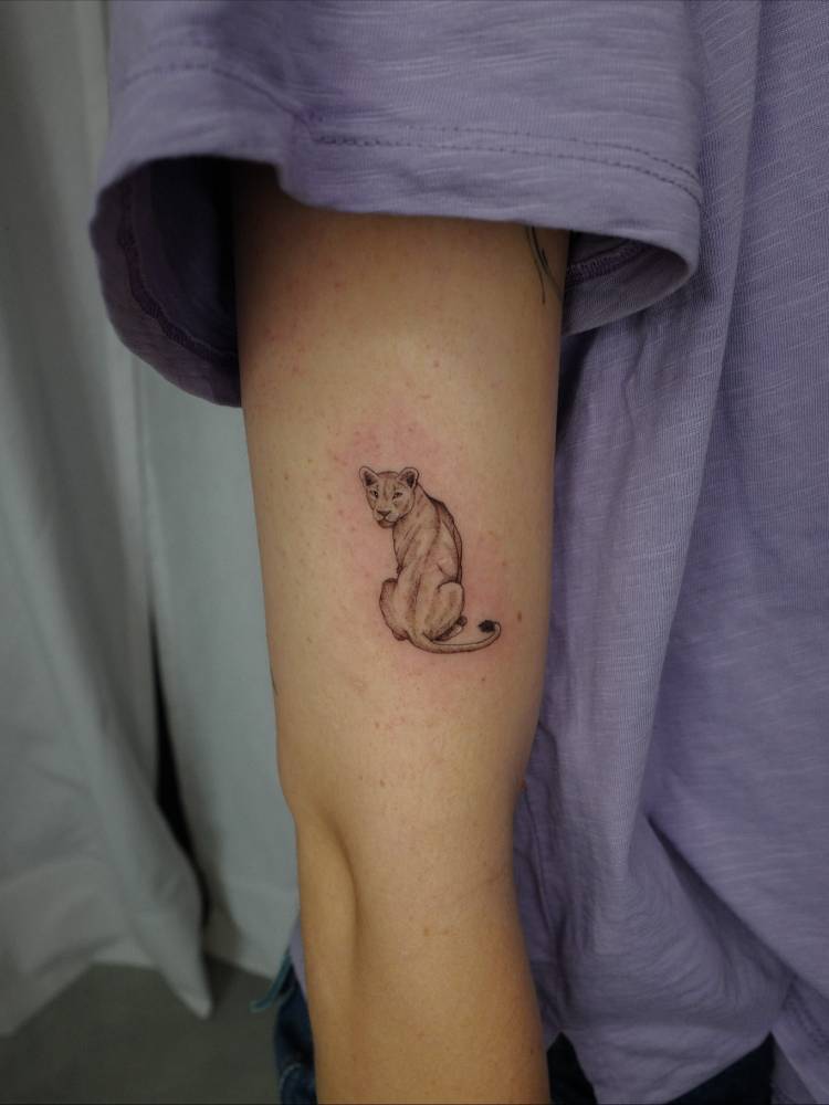 Lioness tattoo in illustrative style located on the upper arm.