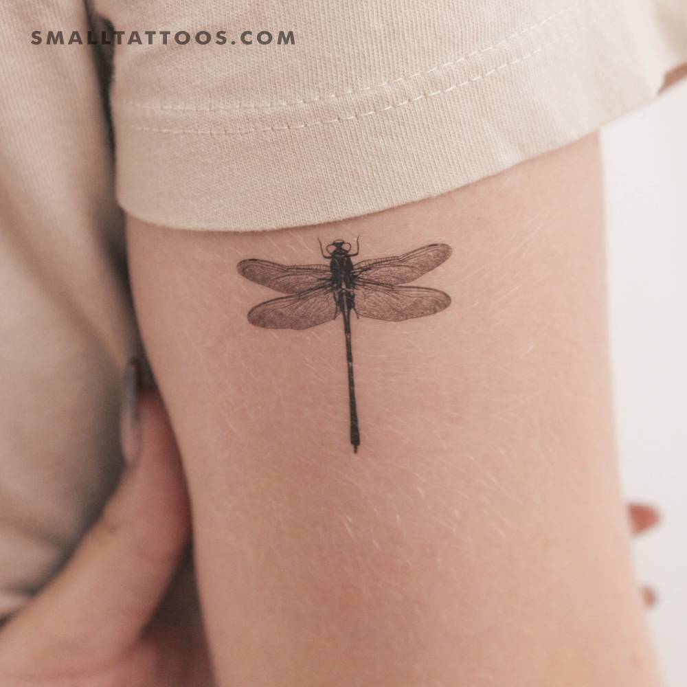 Illustrative style dragonfly temporary tattoo located on the tricep.