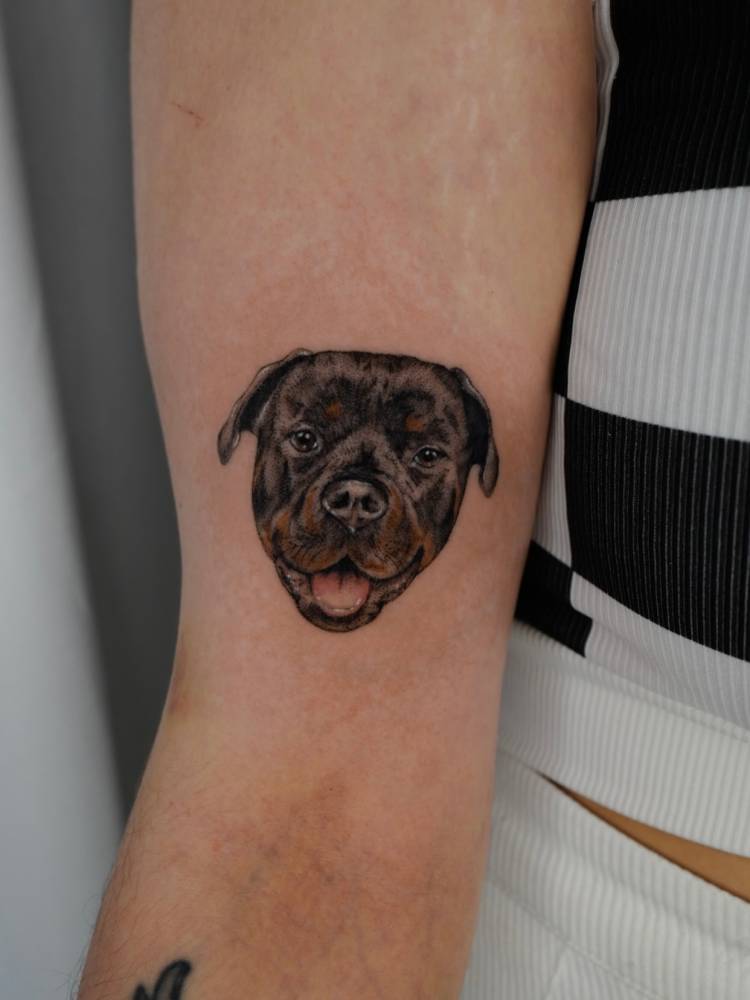 Rottweiler portrait tattoo located on the bicep.