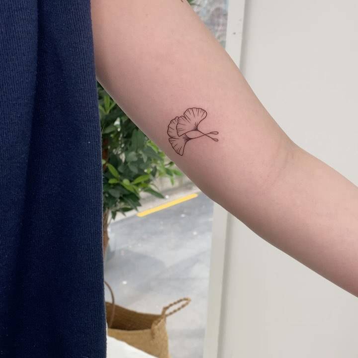 Minimalistic style ginkgo leaves tattooed on the inner arm.