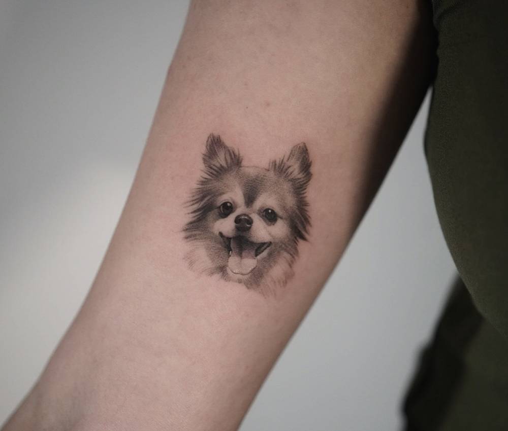 Micro-realistic style Papillon dog portrait tattoo located on the inner arm.