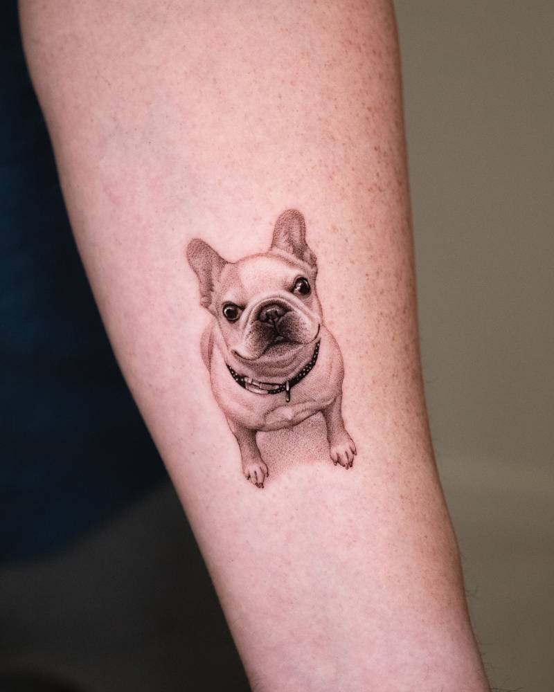 French Bulldog tattoo in micro-realistic style located on the inner forearm.