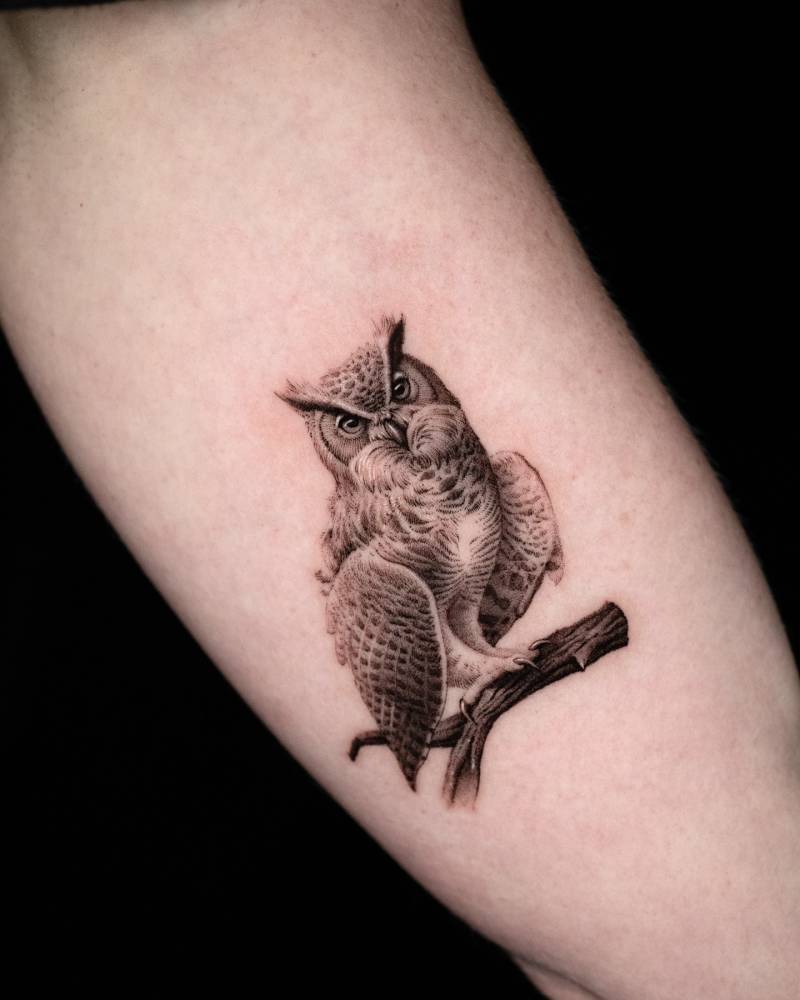 Micro-realistic style owl tattoo placed on the inner arm.