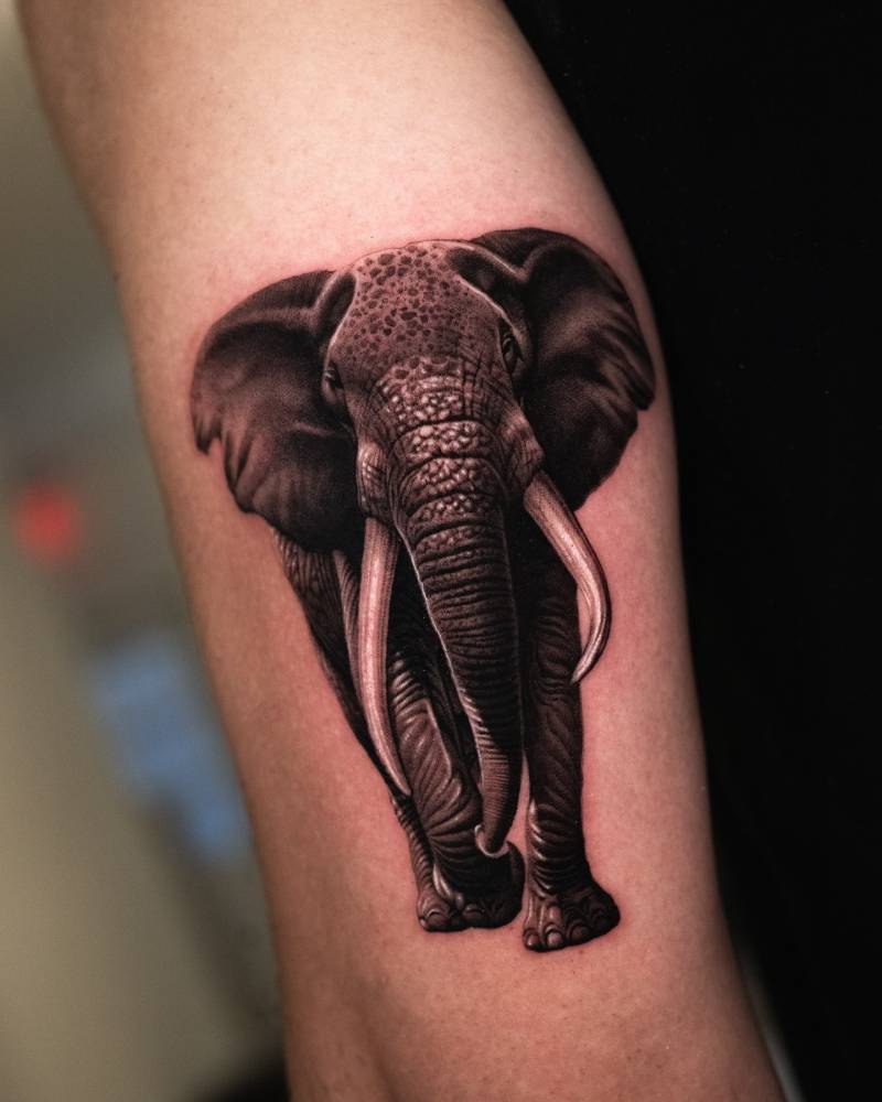 Tattoo of an elephant done in micro-realistic style located on the tricep.