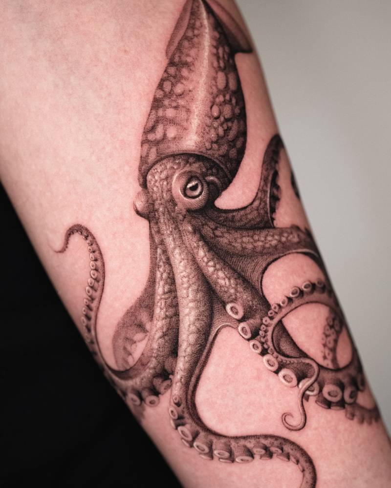 Micro-realistic style squid tattoo located on the inner forearm.