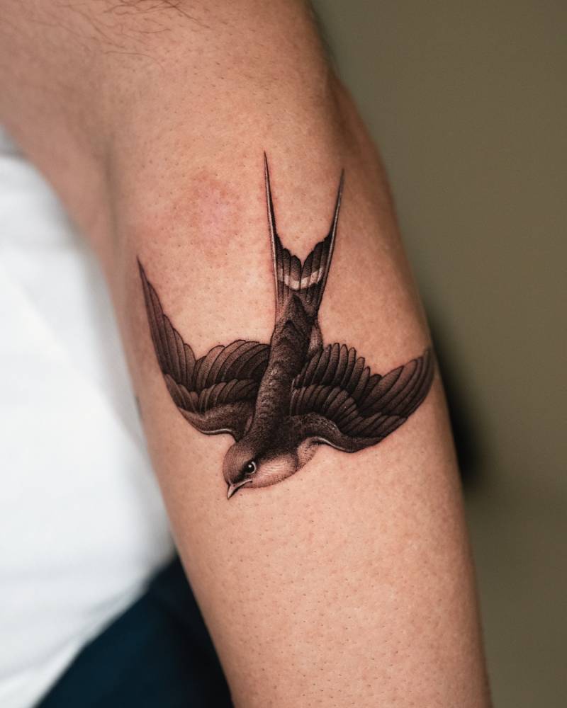 Tattoo of a swallow placed on the forearm, micro-realistic style.