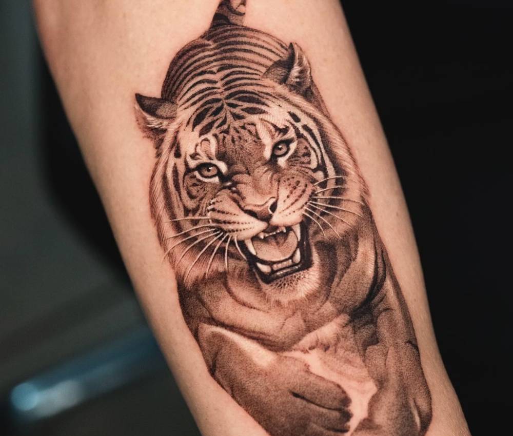 Micro-realistic style tiger tattoo located on the forearm.